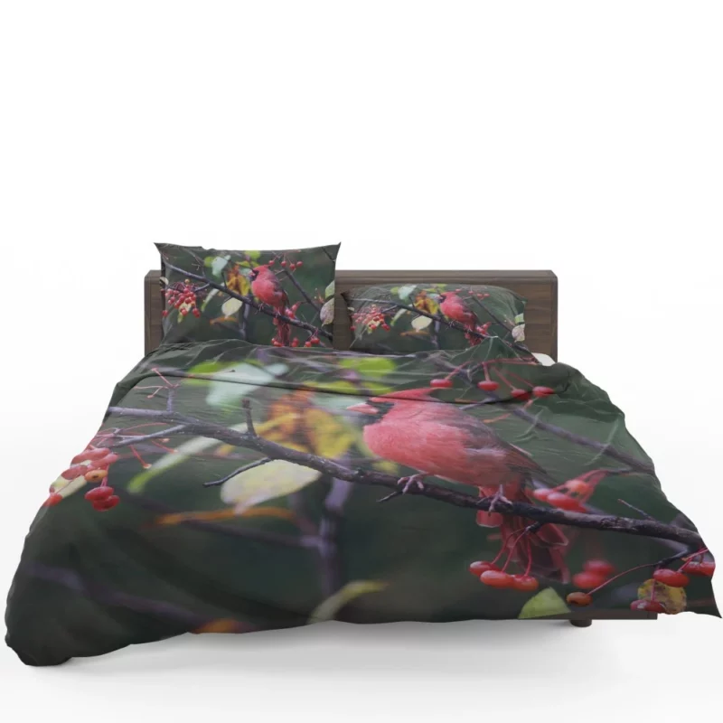 Cardinal Vibrant Plumage Scarlet Elegance Bedding Set