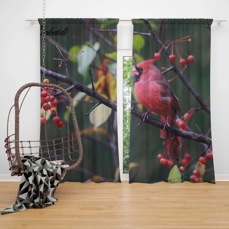 Cardinal Vibrant Plumage Scarlet Elegance Curtain