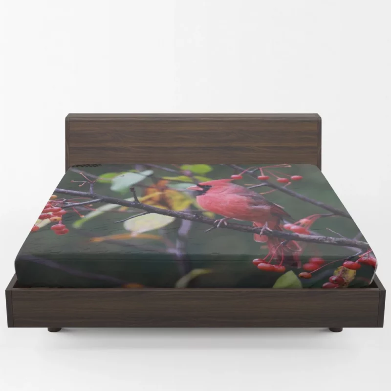 Cardinal Vibrant Plumage Scarlet Elegance Fitted Sheet