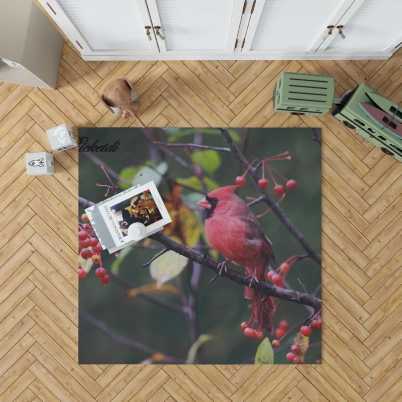 Cardinal Vibrant Plumage Scarlet Elegance Rug