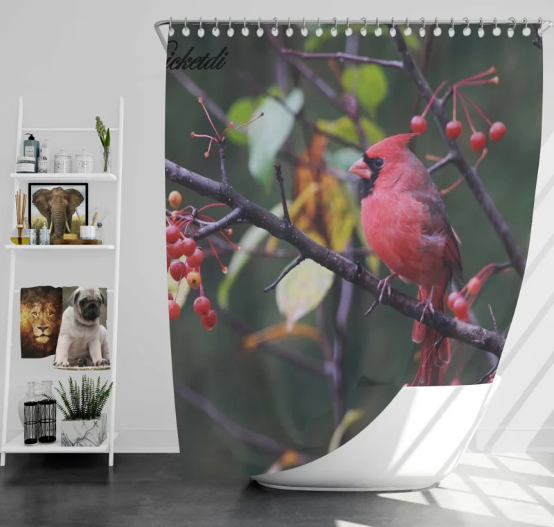 Cardinal Vibrant Plumage Scarlet Elegance Shower Curtain