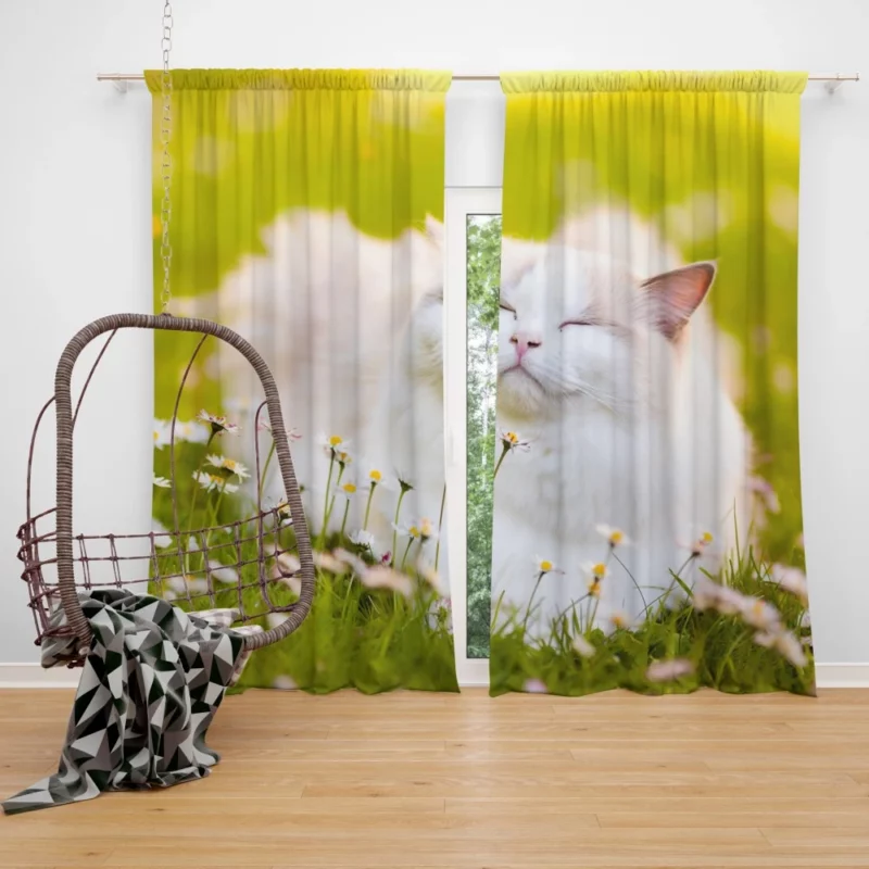 Cat Among Flowers Nature Curiosity Curtain