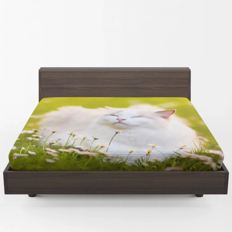 Cat Among Flowers Nature Curiosity Fitted Sheet