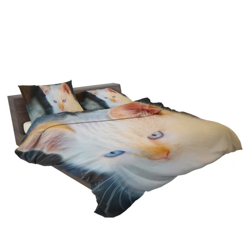 Cat Baby Gaze Feline Innocence Bedding Set 2