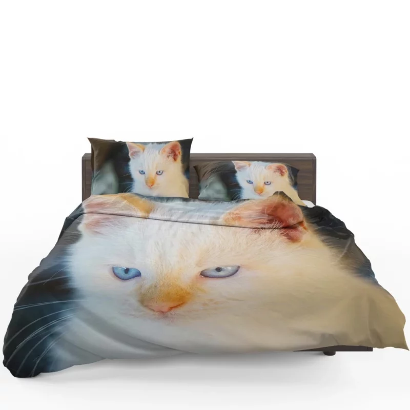 Cat Baby Gaze Feline Innocence Bedding Set