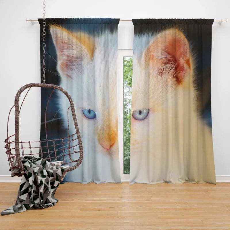 Cat Baby Gaze Feline Innocence Curtain