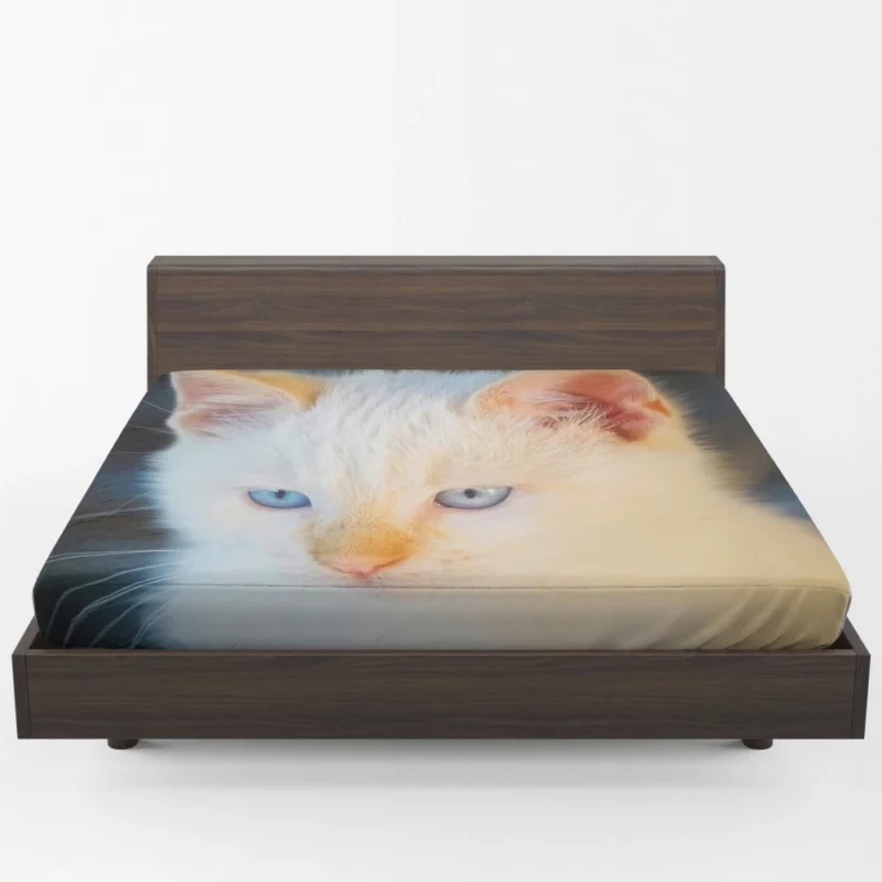 Cat Baby Gaze Feline Innocence Fitted Sheet