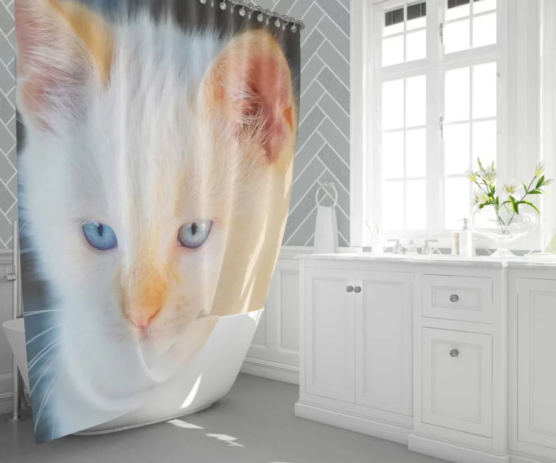 Cat Baby Gaze Feline Innocence Shower Curtain 1