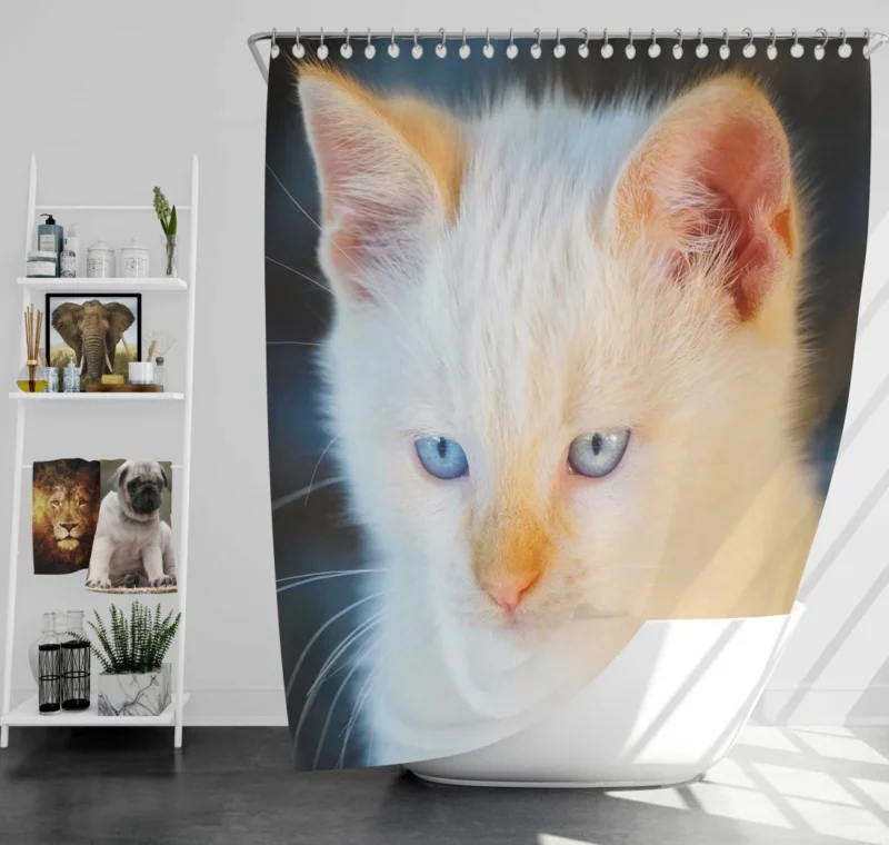 Cat Baby Gaze Feline Innocence Shower Curtain