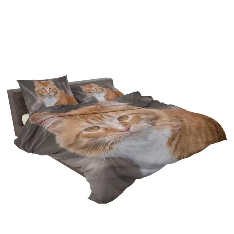 Cat Baby Gaze Innocent Charm Bedding Set 2