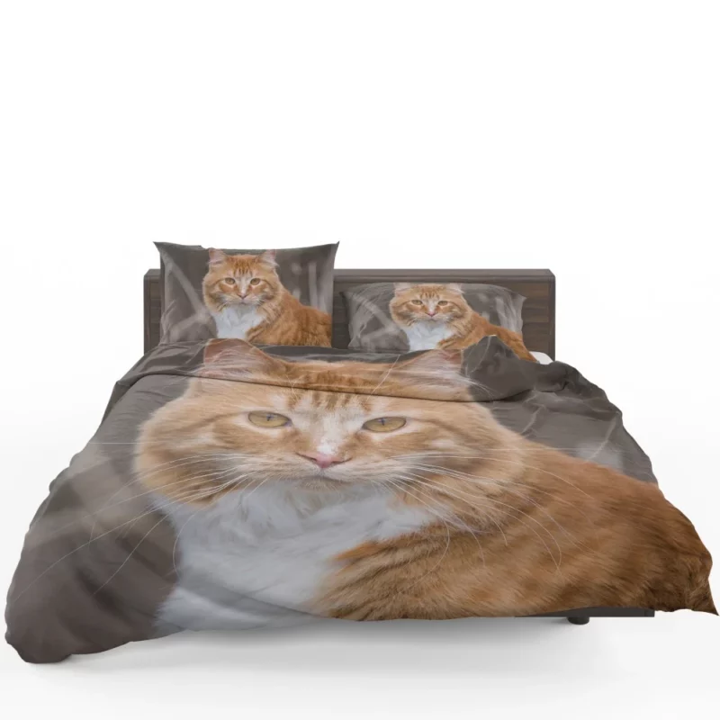 Cat Baby Gaze Innocent Charm Bedding Set