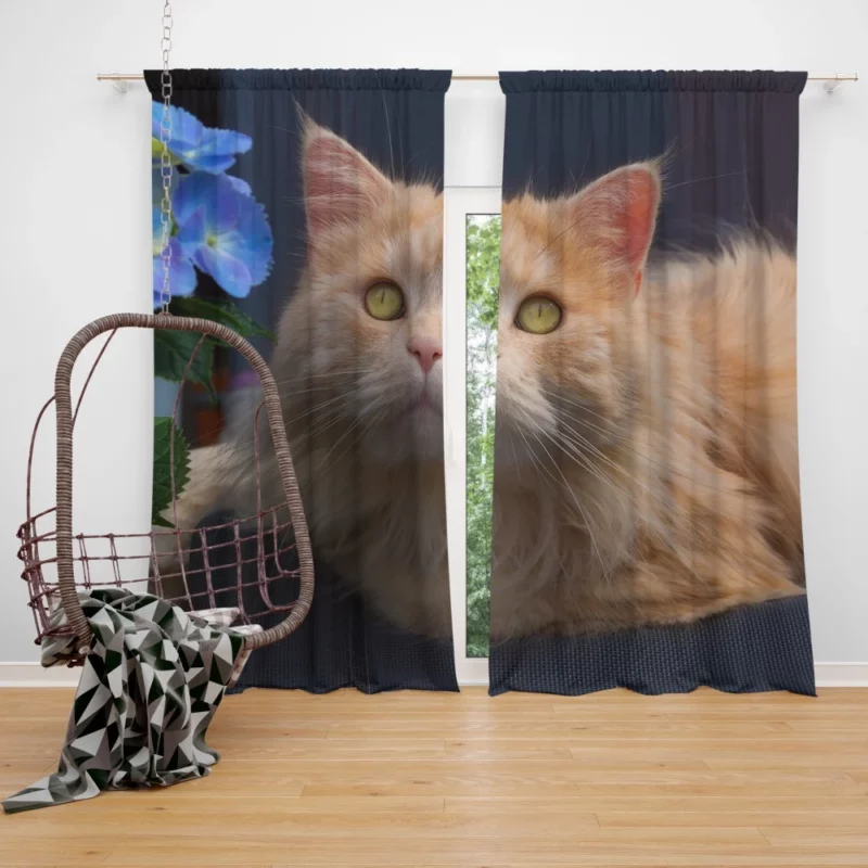 Cat Blue Flower Encounter Hydrangea Whimsy Curtain