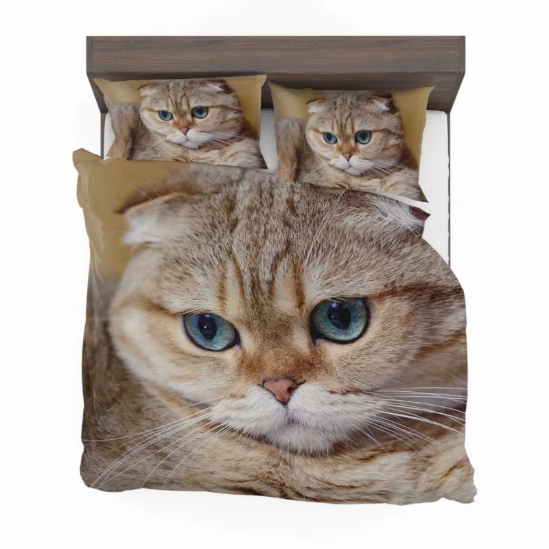 Cat Captivating Gaze Mysterious Charm Bedding Set 1