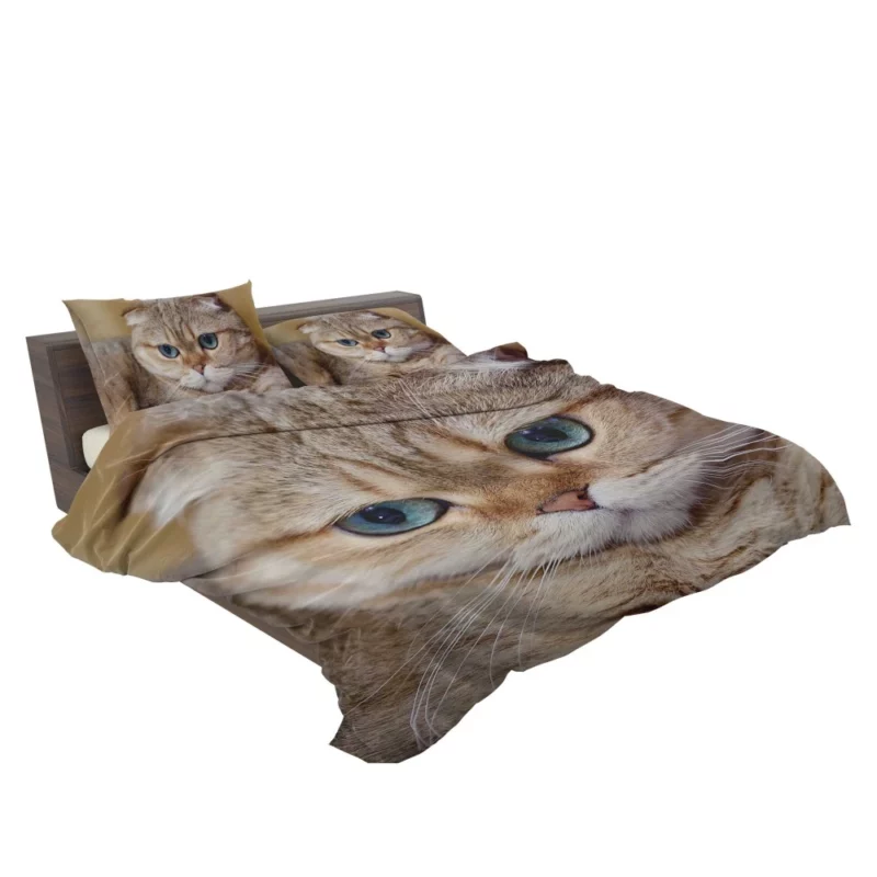 Cat Captivating Gaze Mysterious Charm Bedding Set 2