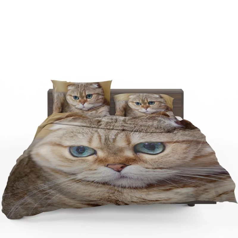 Cat Captivating Gaze Mysterious Charm Bedding Set