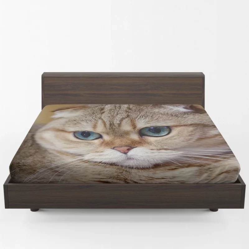 Cat Captivating Gaze Mysterious Charm Fitted Sheet