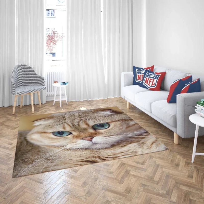 Cat Captivating Gaze Mysterious Charm Rug 2