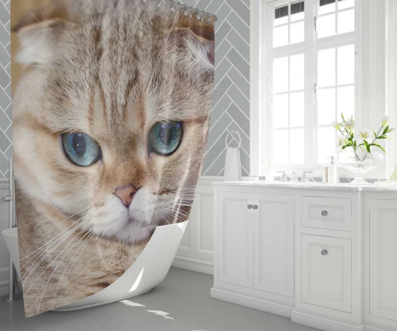 Cat Captivating Gaze Mysterious Charm Shower Curtain 1