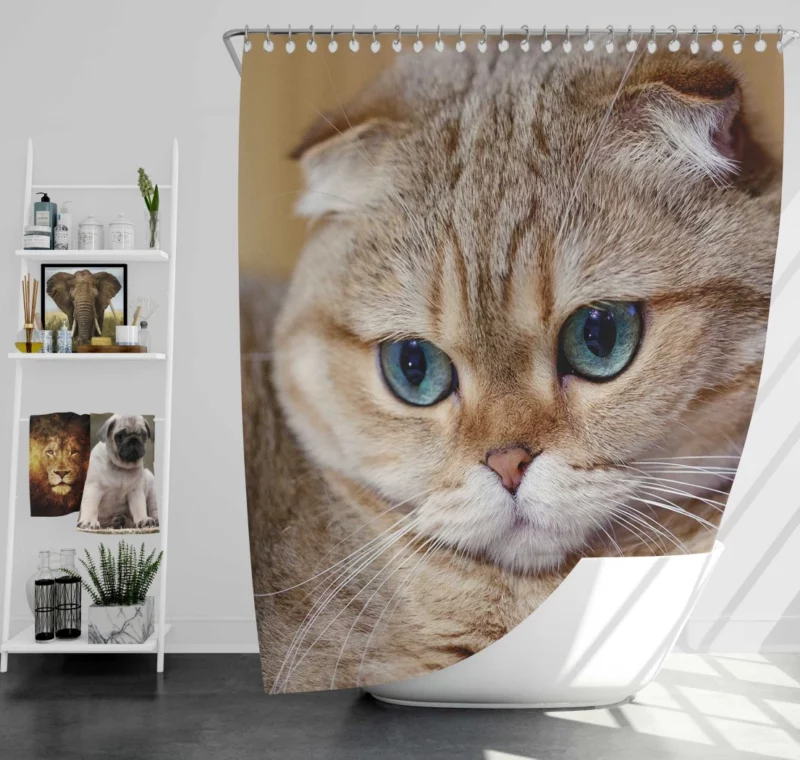 Cat Captivating Gaze Mysterious Charm Shower Curtain