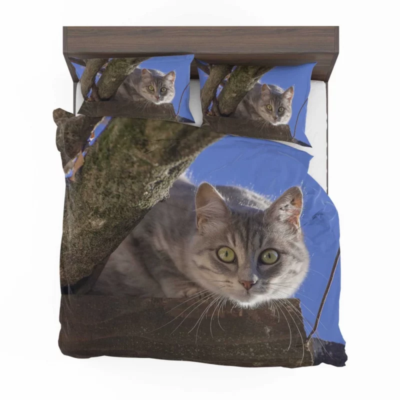 Cat Captivating Stare Feline Curiosity Bedding Set 1