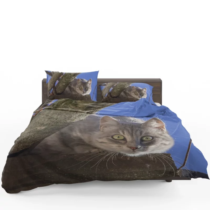 Cat Captivating Stare Feline Curiosity Bedding Set