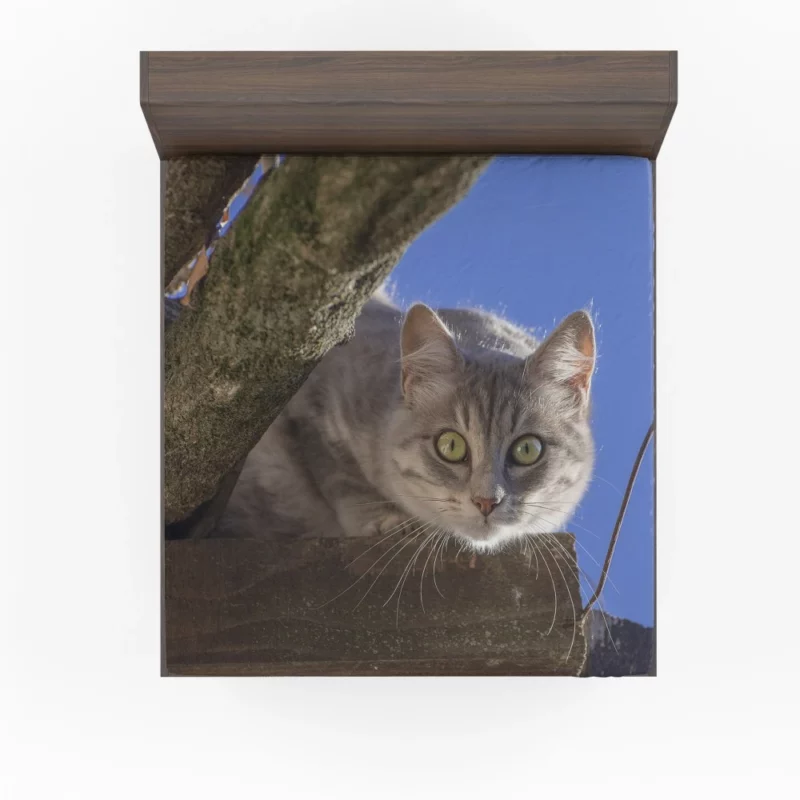 Cat Captivating Stare Feline Curiosity Fitted Sheet 1