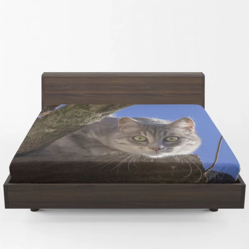 Cat Captivating Stare Feline Curiosity Fitted Sheet