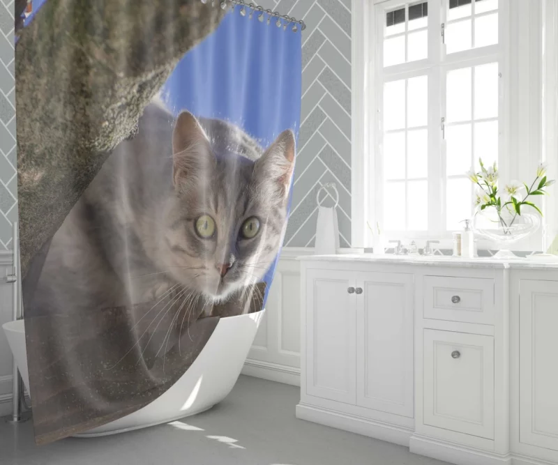 Cat Captivating Stare Feline Curiosity Shower Curtain 1