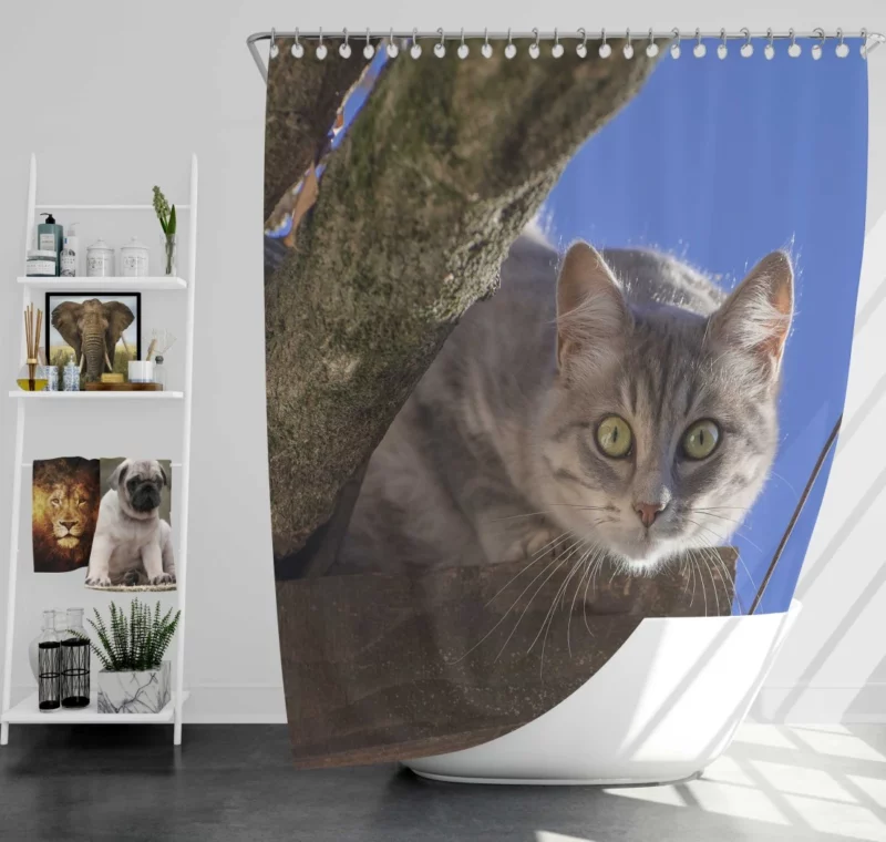 Cat Captivating Stare Feline Curiosity Shower Curtain