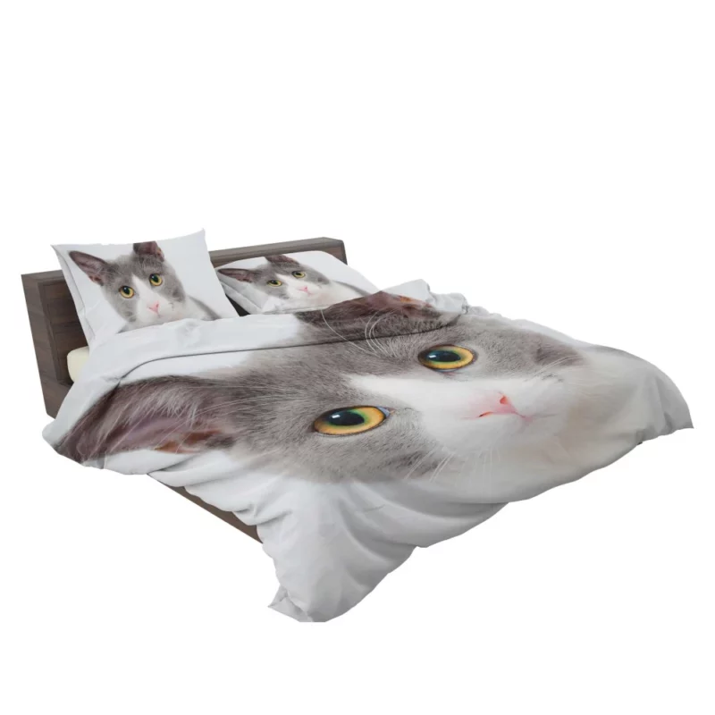 Cat Captivating Stare Mysterious Intrigue Bedding Set 2