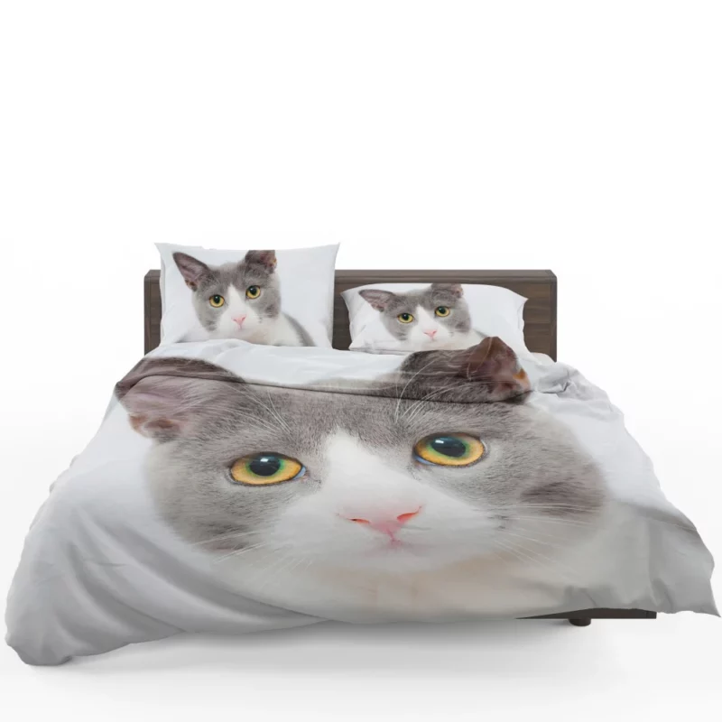 Cat Captivating Stare Mysterious Intrigue Bedding Set