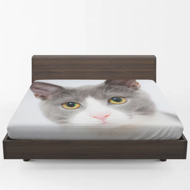 Cat Captivating Stare Mysterious Intrigue Fitted Sheet