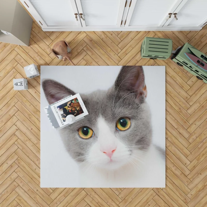 Cat Captivating Stare Mysterious Intrigue Rug