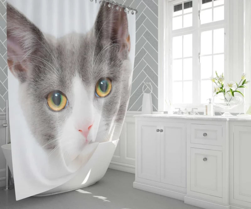 Cat Captivating Stare Mysterious Intrigue Shower Curtain 1