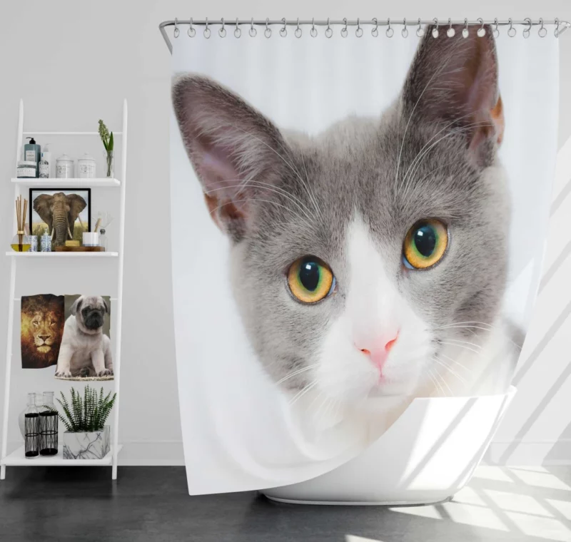 Cat Captivating Stare Mysterious Intrigue Shower Curtain