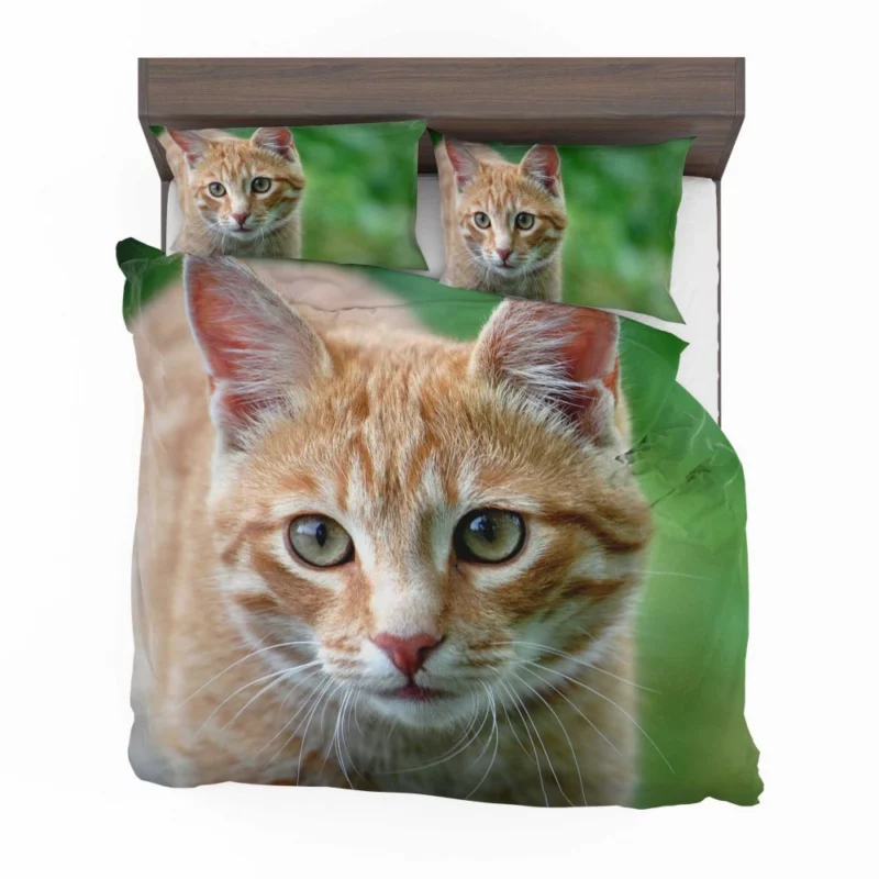 Cat Close-Up Feline Elegance Bedding Set 1