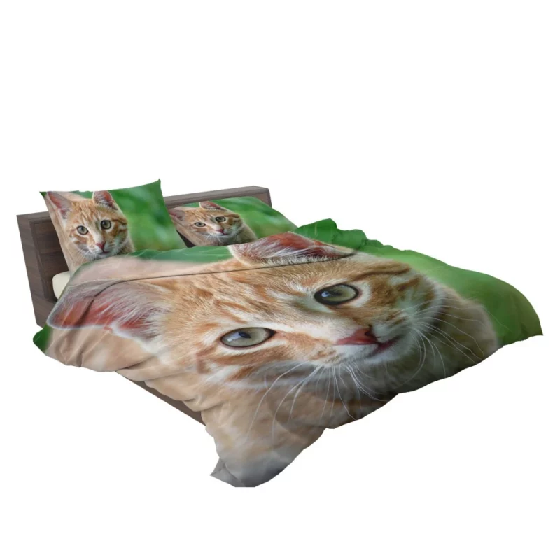 Cat Close-Up Feline Elegance Bedding Set 2