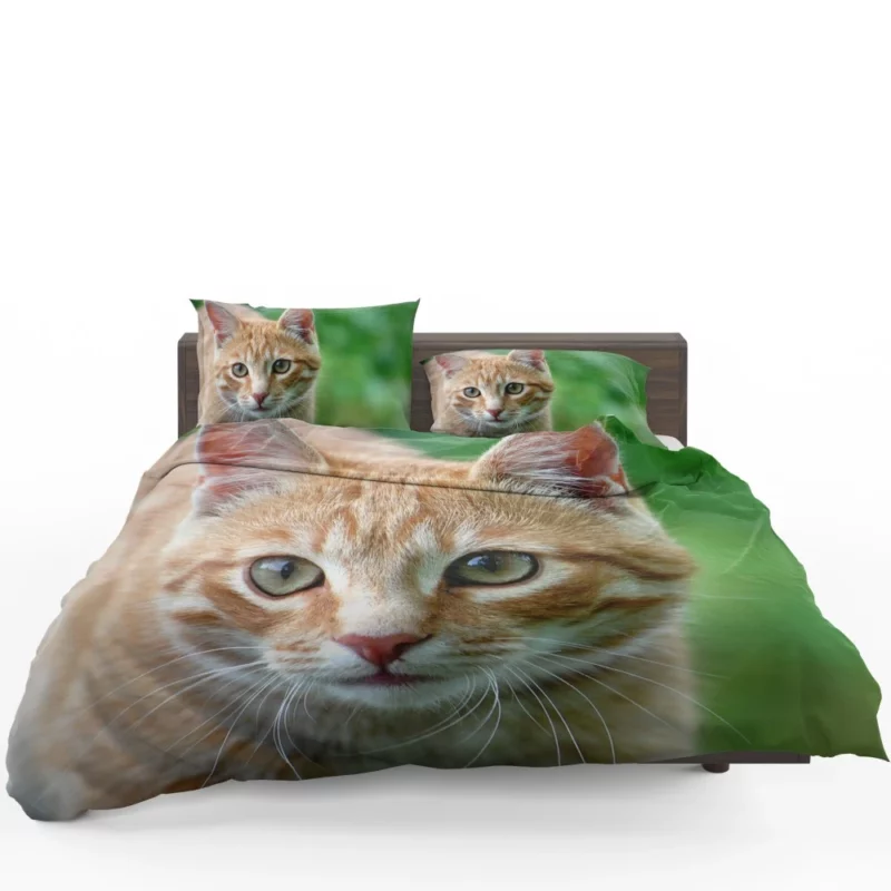 Cat Close-Up Feline Elegance Bedding Set