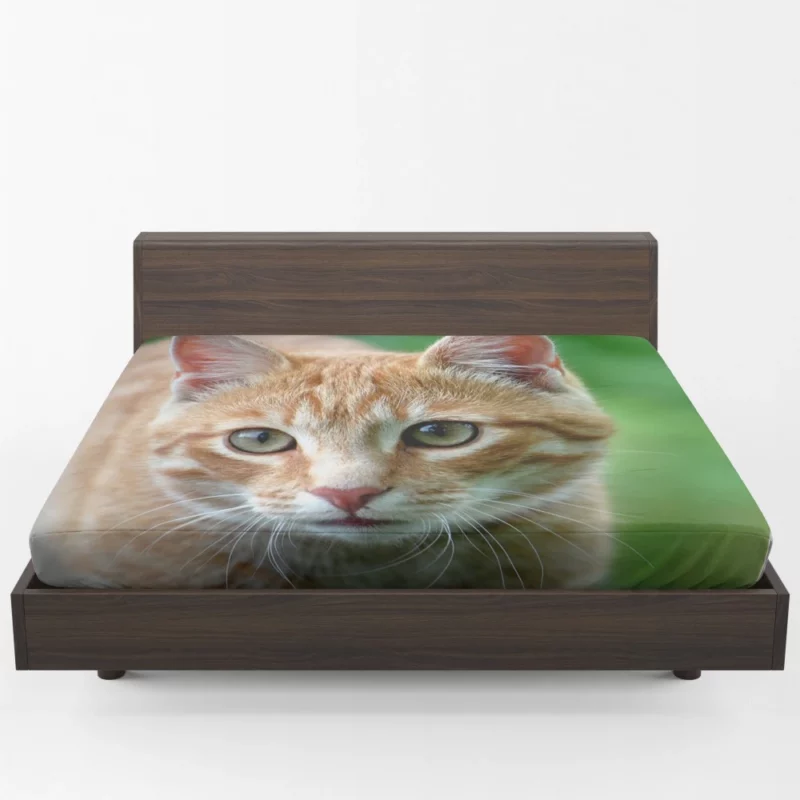 Cat Close-Up Feline Elegance Fitted Sheet