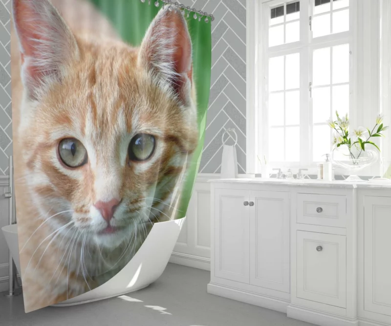 Cat Close-Up Feline Elegance Shower Curtain 1