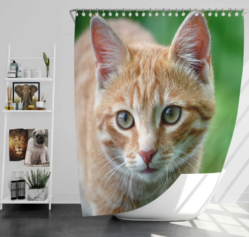 Cat Close-Up Feline Elegance Shower Curtain