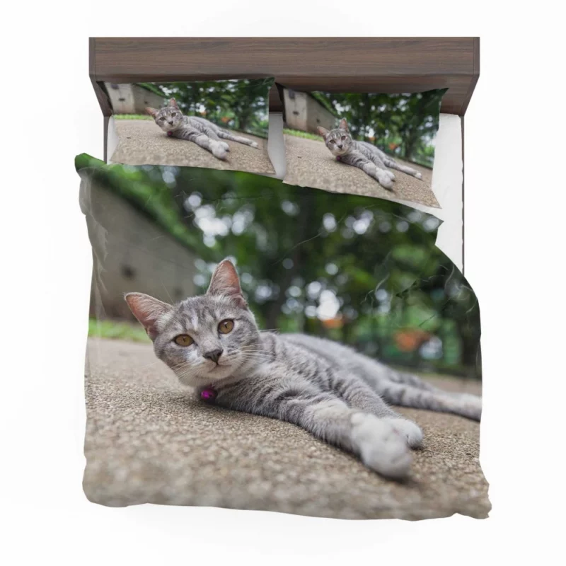 Cat Contented Rest Peaceful Pause Bedding Set 1