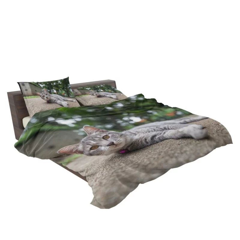 Cat Contented Rest Peaceful Pause Bedding Set 2