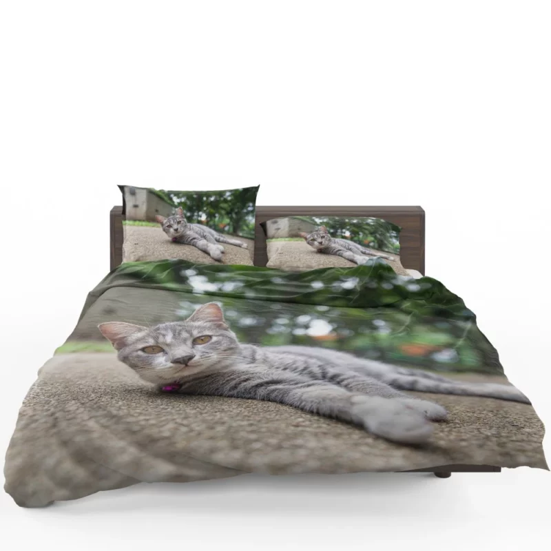 Cat Contented Rest Peaceful Pause Bedding Set