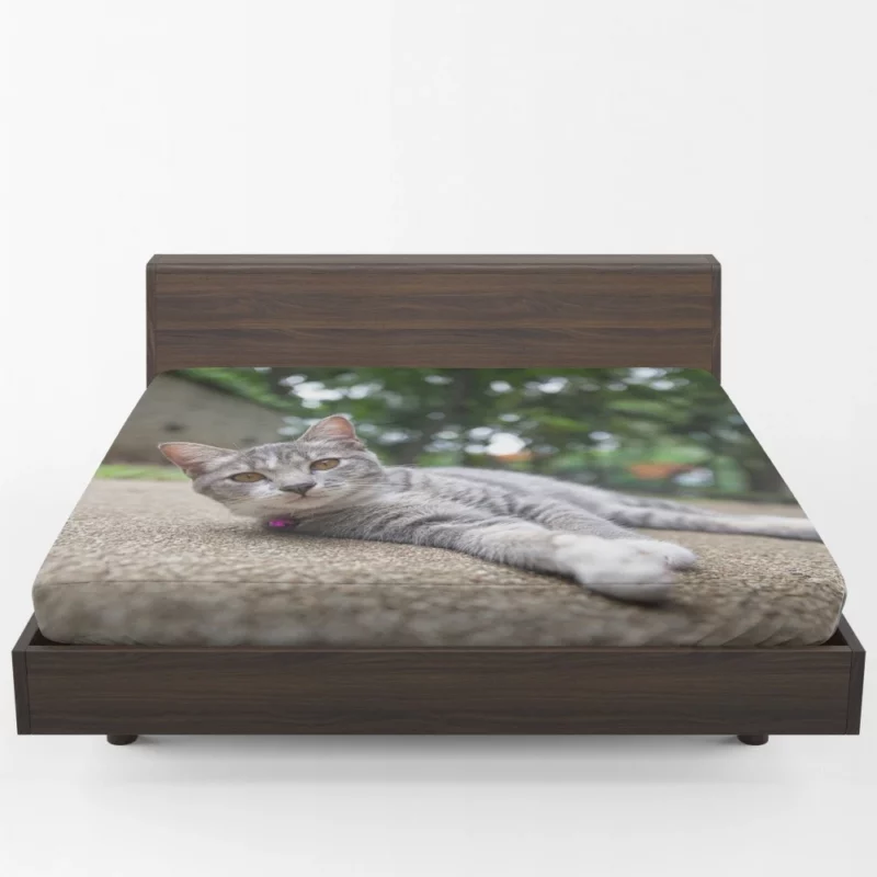 Cat Contented Rest Peaceful Pause Fitted Sheet