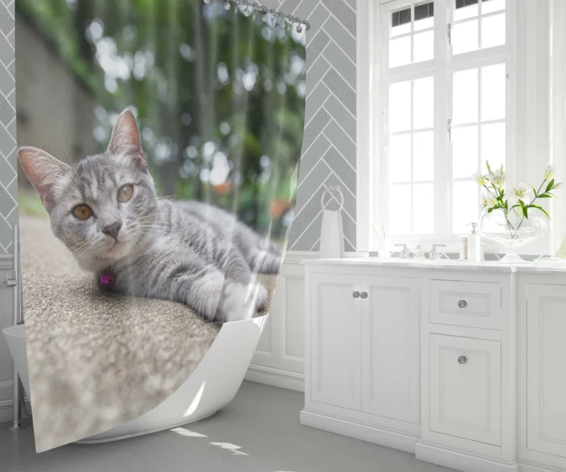 Cat Contented Rest Peaceful Pause Shower Curtain 1