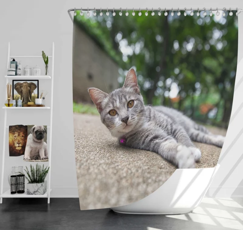 Cat Contented Rest Peaceful Pause Shower Curtain