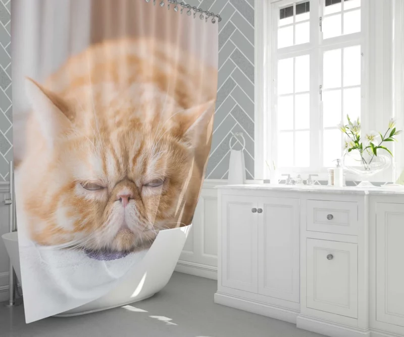 Cat Curious Gaze Shower Curtain 1