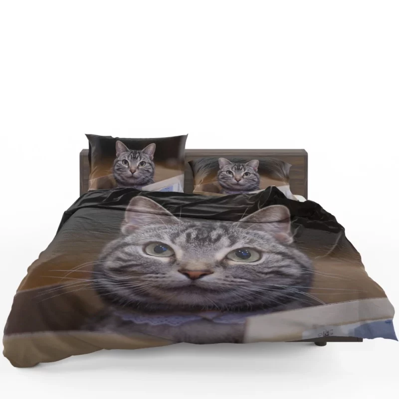 Cat Curious Stare Bedding Set