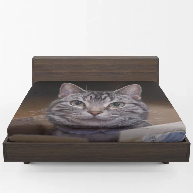 Cat Curious Stare Fitted Sheet